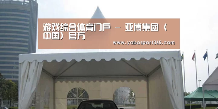 案例标题八