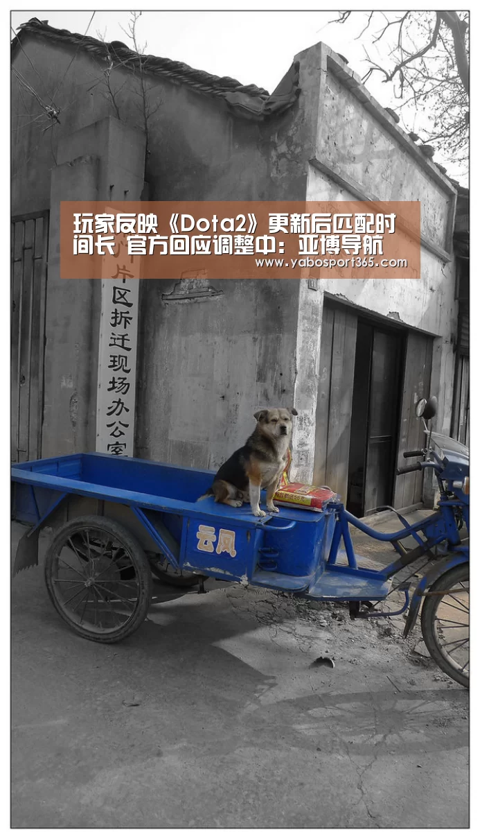亚博导航