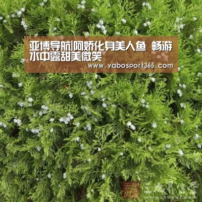 亚博导航|阿娇化身美人鱼 畅游水中露甜美微笑(图2) 亚博导航