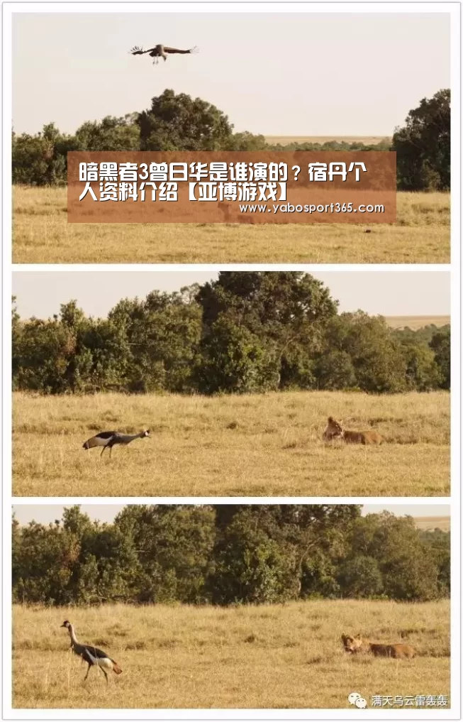 暗黑者3曾日华是谁演的?宿丹个人资料介绍【亚博游戏】(图2) 亚博导航